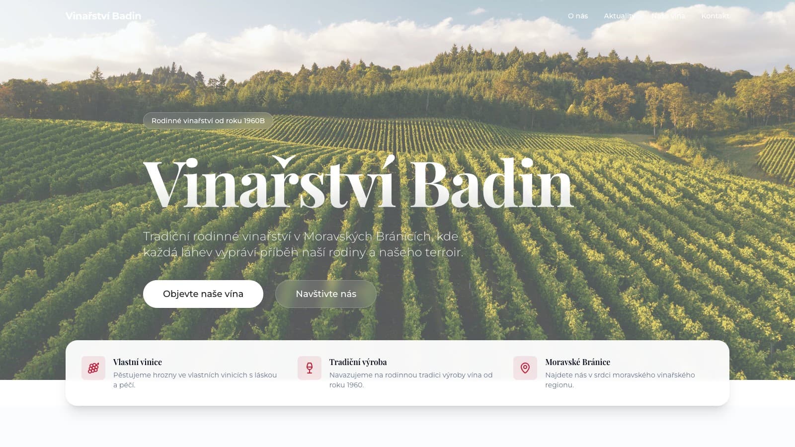 Ukázka projektu Vinařství Badin